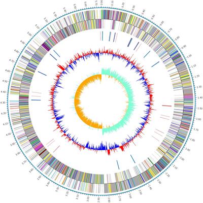 Complete Genome Sequence of Industrial Biocontrol Strain Paenibacillus polymyxa HY96-2 and Further Analysis of Its Biocontrol Mechanism